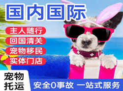 浦东国际宠物托运 【国